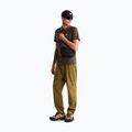 Polo da uomo The North Face Tanken Polo new taupe green 2