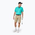 Polo Oakley uomo Divisional UV light emerald 5
