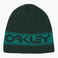 Oakley TNP Berretto invernale reversibile verde cacciatore/verde lago 4