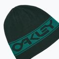 Oakley TNP Berretto invernale reversibile verde cacciatore/verde lago 6