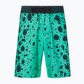 Pantaloncini da bagno Oakley Maven RC 20" da uomo con rana verde 4