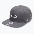 Berretto da baseball Oakley 47 B1B Ellipse uniforme grigio da uomo