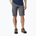 Pantaloncini da trekking Columbia Silver Ridge II Cargo city grigio uomo