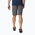 Pantaloncini da trekking Columbia Silver Ridge II Cargo city grigio uomo 2