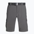 Pantaloncini da trekking Columbia Silver Ridge II Cargo city grigio uomo 6