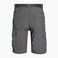 Pantaloncini da trekking Columbia Silver Ridge II Cargo city grigio uomo 7