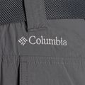 Pantaloncini da trekking Columbia Silver Ridge II Cargo city grigio uomo 8