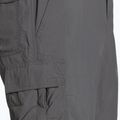 Pantaloncini da trekking Columbia Silver Ridge II Cargo city grigio uomo 9