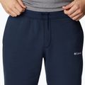 Pantaloncini da trekking da uomo Columbia Logo Fleece collegiate navy 4