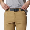 Pantaloncini da trekking Columbia Silver Ridge II crouton da uomo 2