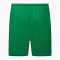 Pantaloncini da calcio Nike Dri-Fit Park III Knit Uomo verde pino/bianco 2