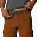 Pantaloncini da trekking Columbia Silver Ridge II Cargo walnut uomo 4