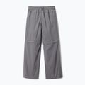 Pantaloni da trekking Columbia Silver Ridge IV city grey per bambini 2