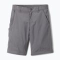 Pantaloni da trekking Columbia Silver Ridge IV city grey per bambini 3