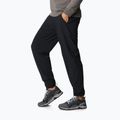 Pantaloni da trekking Columbia Pleasant Creek Warm Jogger donna nero 2