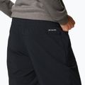 Pantaloni da trekking Columbia Pleasant Creek Warm Jogger donna nero 5