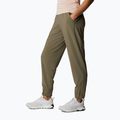 Pantaloni da trekking Columbia Pleasant Creek Warm Jogger verde pietra da donna 2