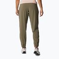 Pantaloni da trekking Columbia Pleasant Creek Warm Jogger verde pietra da donna 3