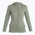 Icebreaker giacca da trekking da donna Merino 260 Quantum IV lichen 6