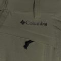 Pantaloni da trekking Columbia Triple Canyon verde pietra da uomo 11