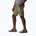 Pantaloncini da trekking Columbia Triple Canyon verde pietra da uomo 3