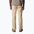 Pantaloni da trekking da uomo Columbia Silver Ridge Utility ancient fossil 2