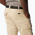 Pantaloni da trekking da uomo Columbia Silver Ridge Utility ancient fossil 5