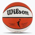 Pallacanestro Wilson
