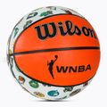 Pallacanestro Wilson 2