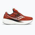 Scarpe da corsa Saucony Triumph 20 lava/fossile per uomo 2