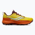 Scarpe da corsa da uomo Saucony Peregrine 13 arroyo 13