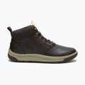 Scarpe CATerpillar Apa Cush Sport da uomo in chicchi di caffè 2