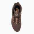 Uomo CATerpillar Colorado Sneaker caffè in grani / pioggia tamburo scarpe 5