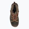 KEEN Circadia Mid WP scarpe da trekking da uomo oliva scura/argilla di vaselina 6