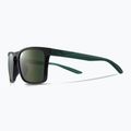 Occhiali da sole Nike Sky Ascent concord/verde 5