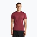 Maglietta da trekking uomo icebreaker Merino 125 Cool-Lite Sphere III port