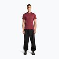 Maglietta da trekking uomo icebreaker Merino 125 Cool-Lite Sphere III port 4