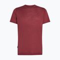 Maglietta da trekking uomo icebreaker Merino 125 Cool-Lite Sphere III port 6