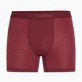 Boxer termici da uomo icebreaker Anatomica Boxers port