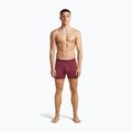 Boxer termici da uomo icebreaker Anatomica Boxers port 3