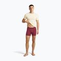 Boxer termici da uomo icebreaker Anatomica Boxers port 5