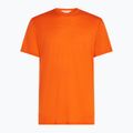 Uomo Icebreaker Merino 150 Tech Lite III blaze trekking shirt 6