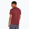 Uomo Icebreaker Merino 150 Tech Lite Southern Constellation port trekking shirt 3