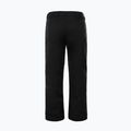 Pantaloni da sci da uomo The North Face Chakal nero 6