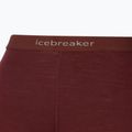 Pantaloni termici donna icebreaker 200 Oasis espresso 9