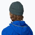 Patagonia Brodeo berretto invernale fitz roy icon/nouveau verde 3