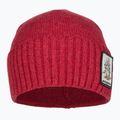 Patagonia berretto invernale Brodeo Beanie fun hogs armadillo/touring rosso 2