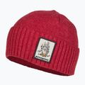 Patagonia berretto invernale Brodeo Beanie fun hogs armadillo/touring rosso 3