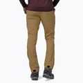 Pantaloni da trekking Patagonia Point Peak Trail-Regular classic tan per uomo 2