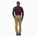 Pantaloni da trekking Patagonia Point Peak Trail-Regular classic tan per uomo 5